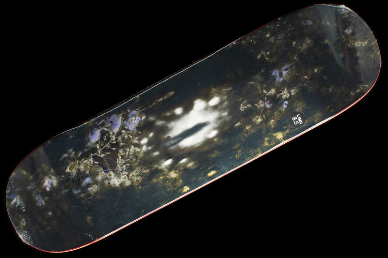 Aaron Loreth - Reptilian Deck