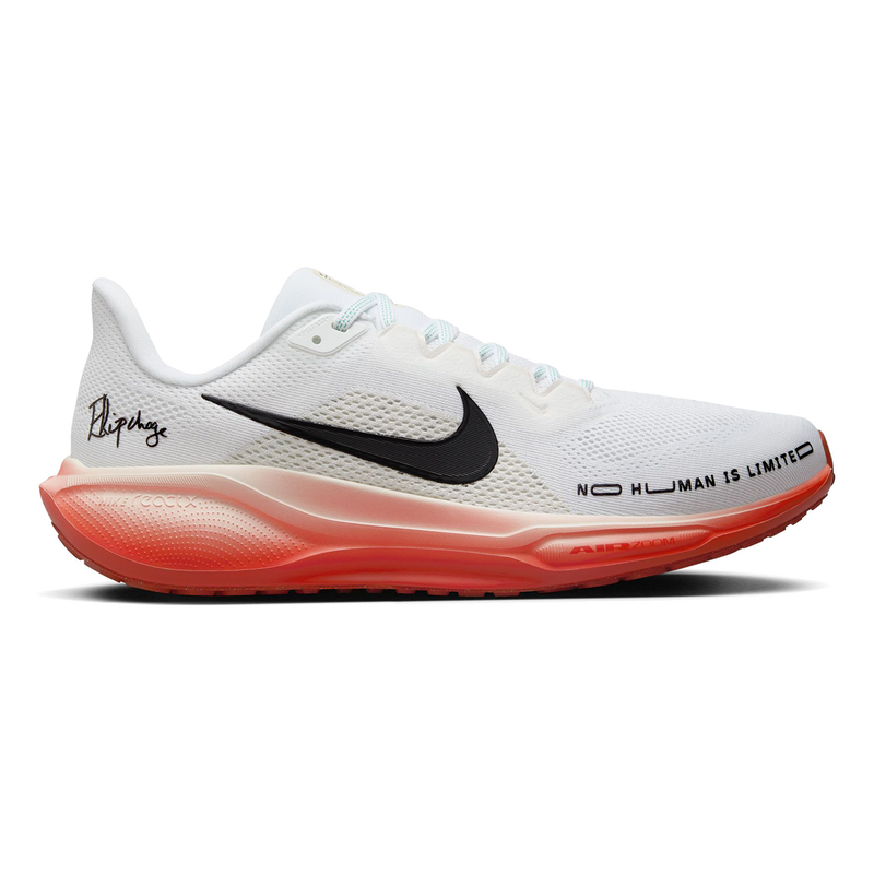 Air Zoom Pegasus 41 EK