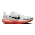 Air Zoom Pegasus 41 EK