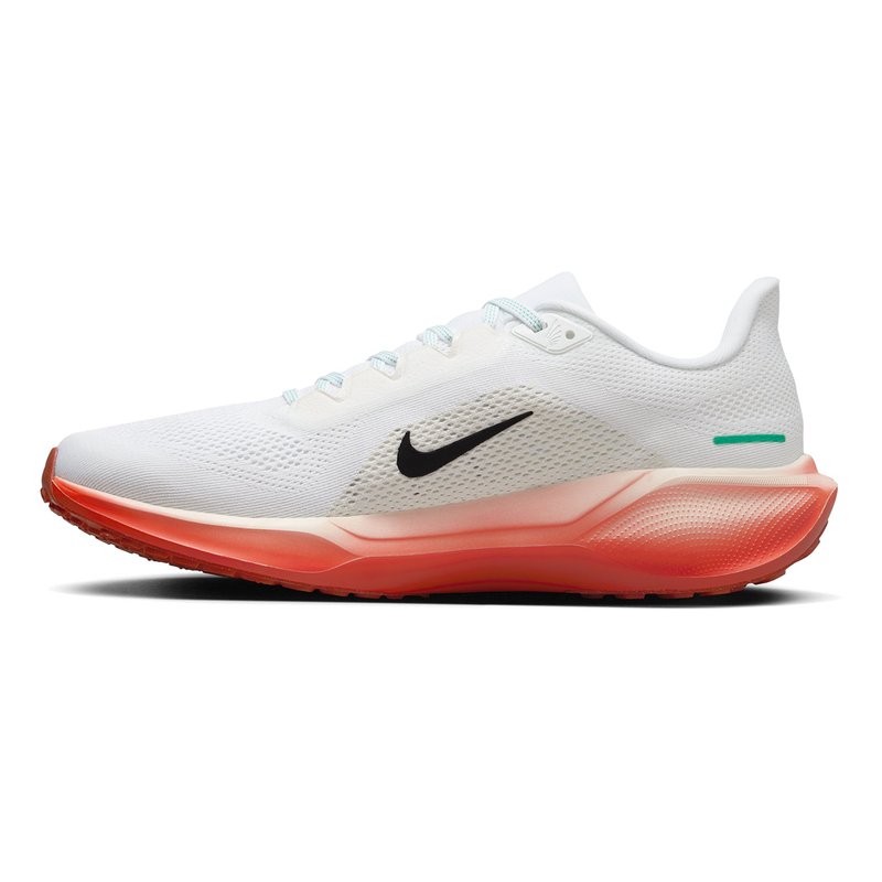 Air Zoom Pegasus 41 EK