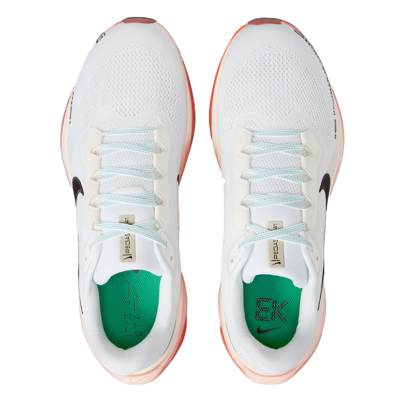 Air Zoom Pegasus 41 EK