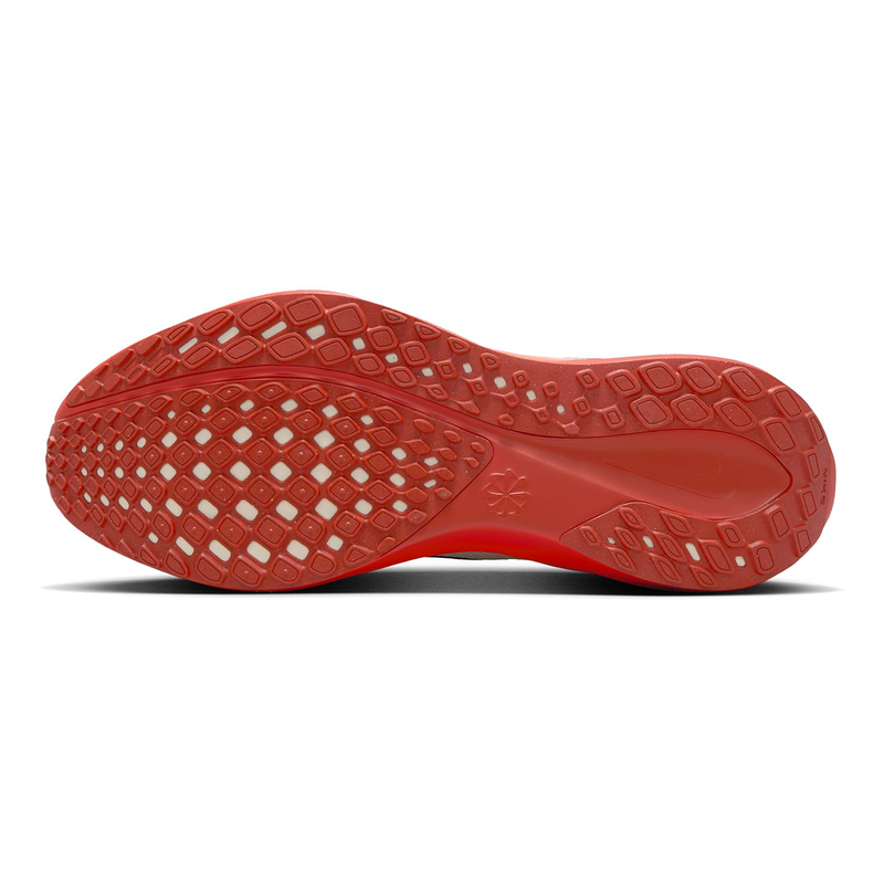 Air Zoom Pegasus 41 EK