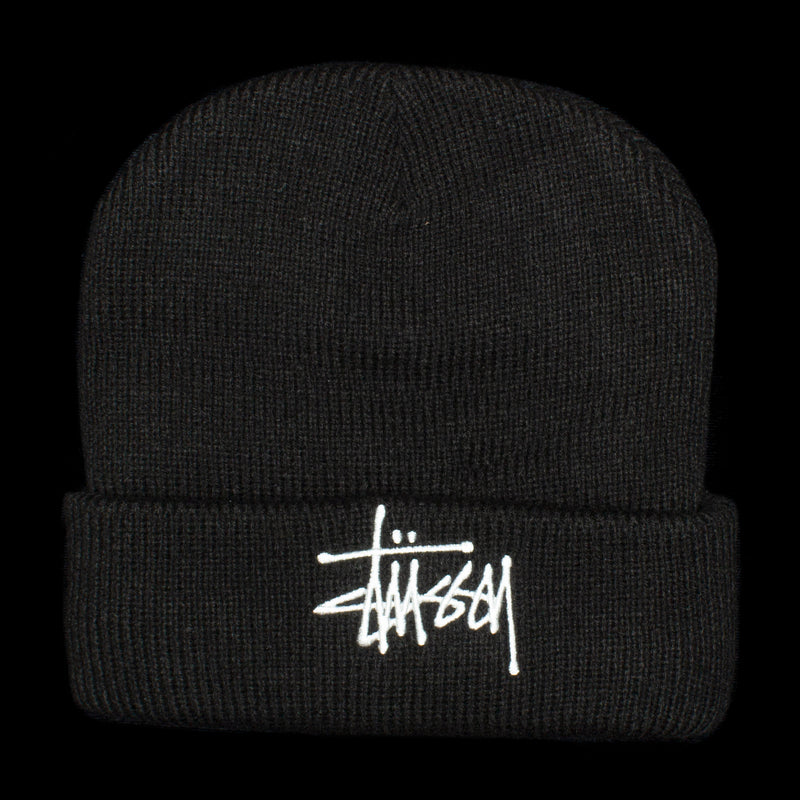 Big Basic Thinsulate Beanie