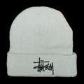 Stussy Big Basic Thinsulate Beanie