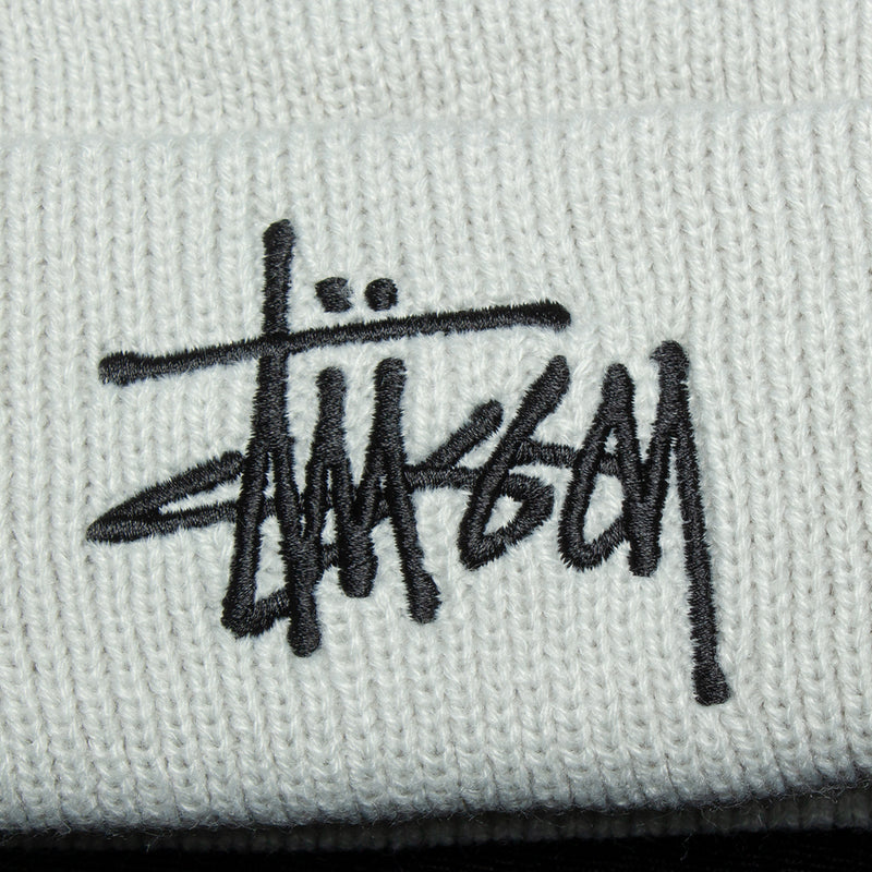 Stussy Big Basic Thinsulate Beanie