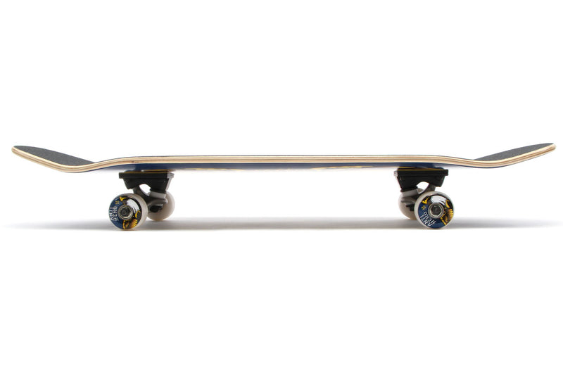 Anti-Hero Classic Eagle Shaped Complete 9.3"