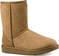 Women's UGG Classic Short II in Chestnut. Sku: 1016223CHE