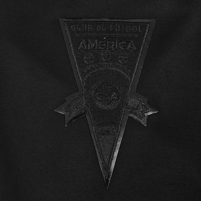 Close-up of black triangular embroidered crest with star accents