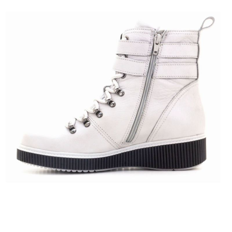 Dromedaris Jessie Ankle Boot (Women) Boots - Fashion - Mid Boot - The Heel Shoe Fitters