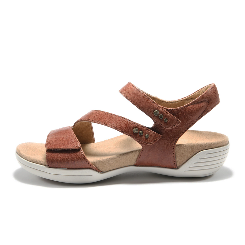 Halsa Denia Backstrap Sandal (Women) Sandal - Backstrap - The Heel Shoe Fitters