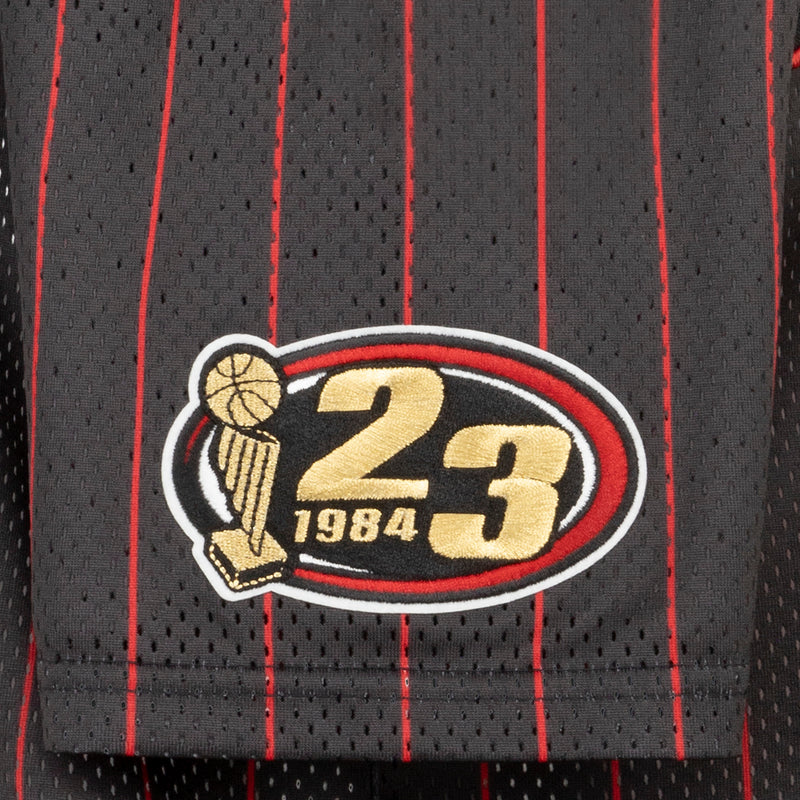 Youth jersey patch detail: oval 1984 logo with basketball graphic