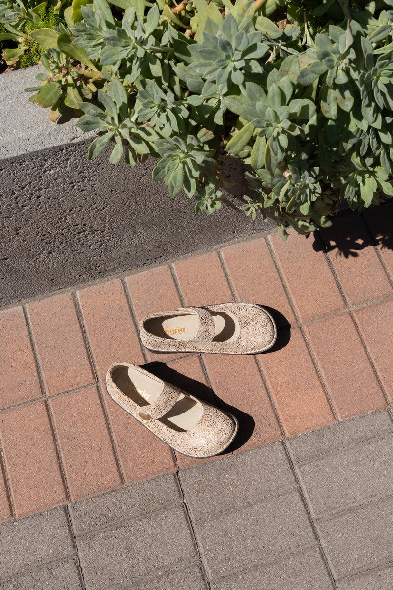 Paloma Walkway