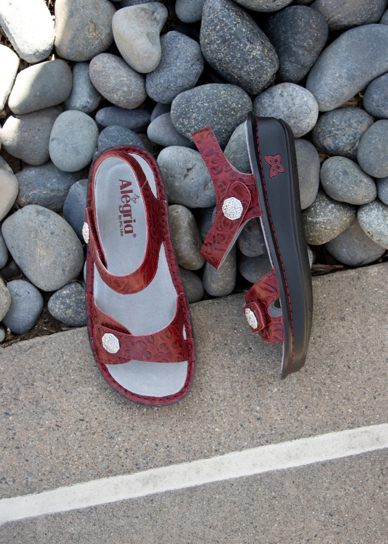 Vienna Loretta Roja