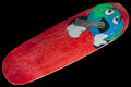 World Red Deck 9"